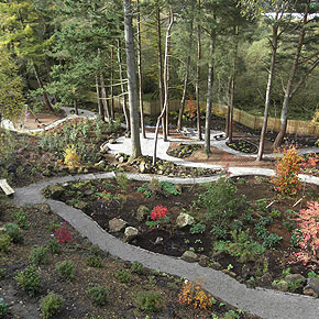 Woodland Garden Design Glasgow